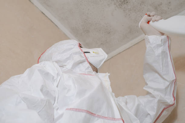 Best Industrial Mold Remediation in China Lake Acres, CA