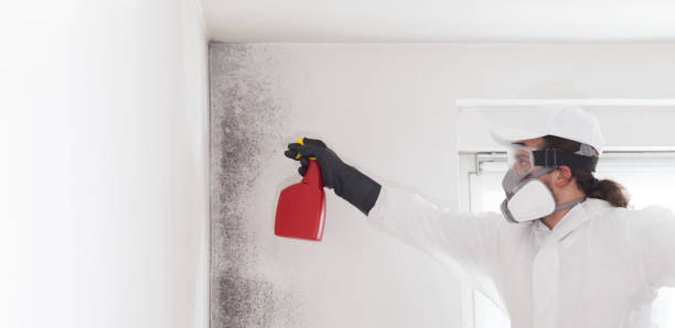 Best HVAC Mold Remediation in China Lake Acres, CA